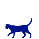 Medium Cat Feeding Guide